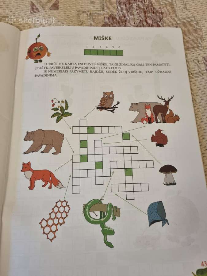 Sudomink mažajį smalsutį kryžiažodžiu - nuotraukos Nr. 5