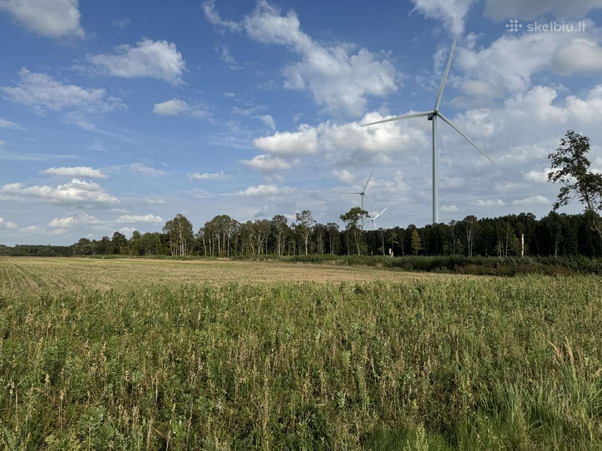 Ariamos žemes sklypas 12,37 ha ilgalaikei nuomai - nuotraukos Nr. 3