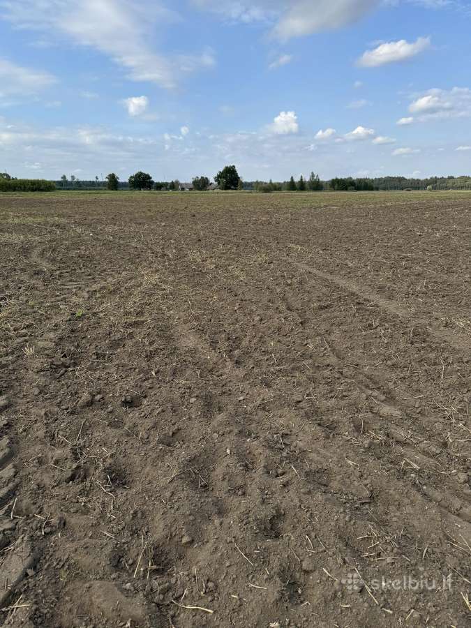 Ariamos žemes sklypas 12,37 ha ilgalaikei nuomai - nuotraukos Nr. 4