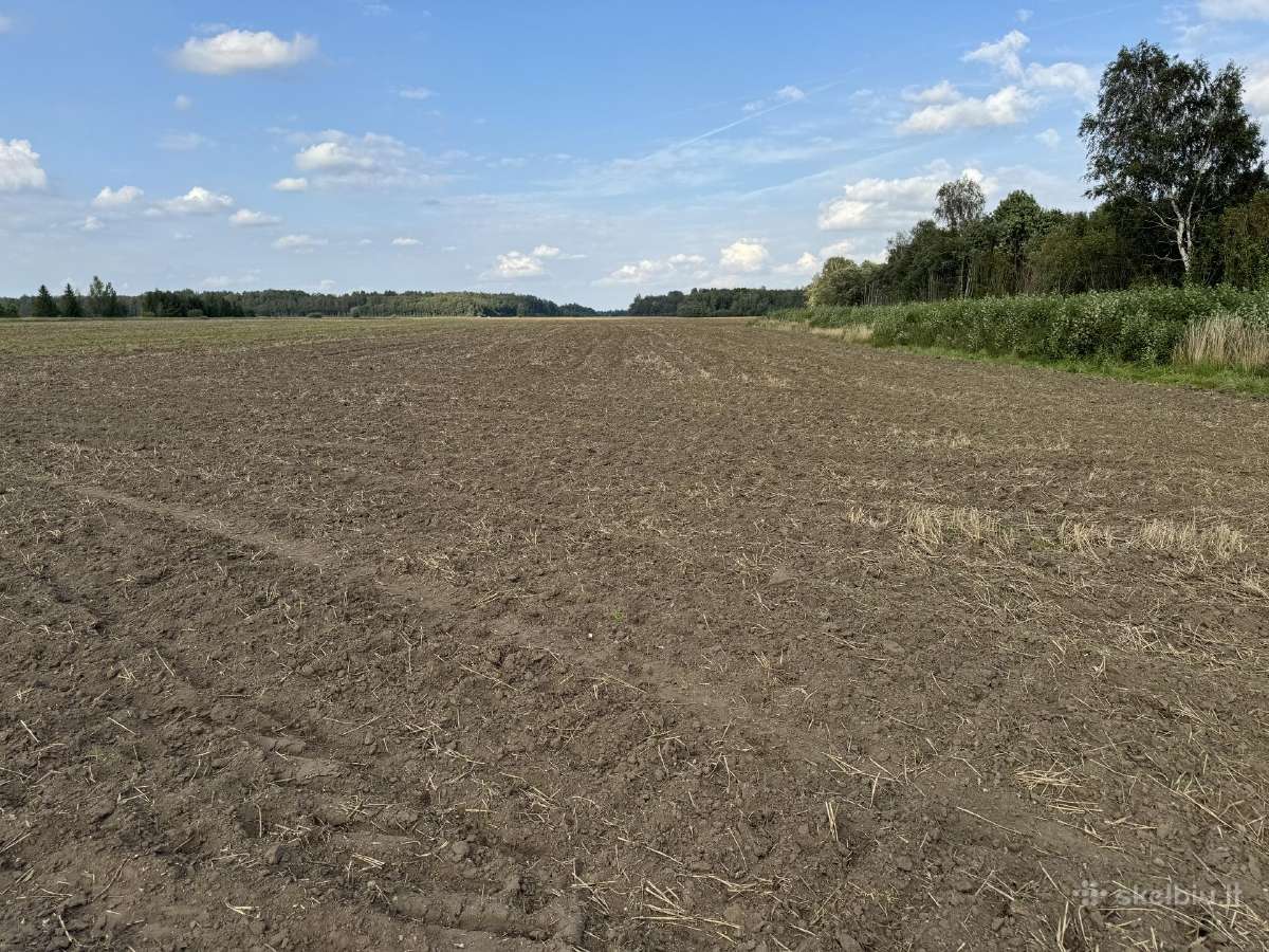 Ariamos žemes sklypas 12,37 ha ilgalaikei nuomai - nuotraukos Nr. 5
