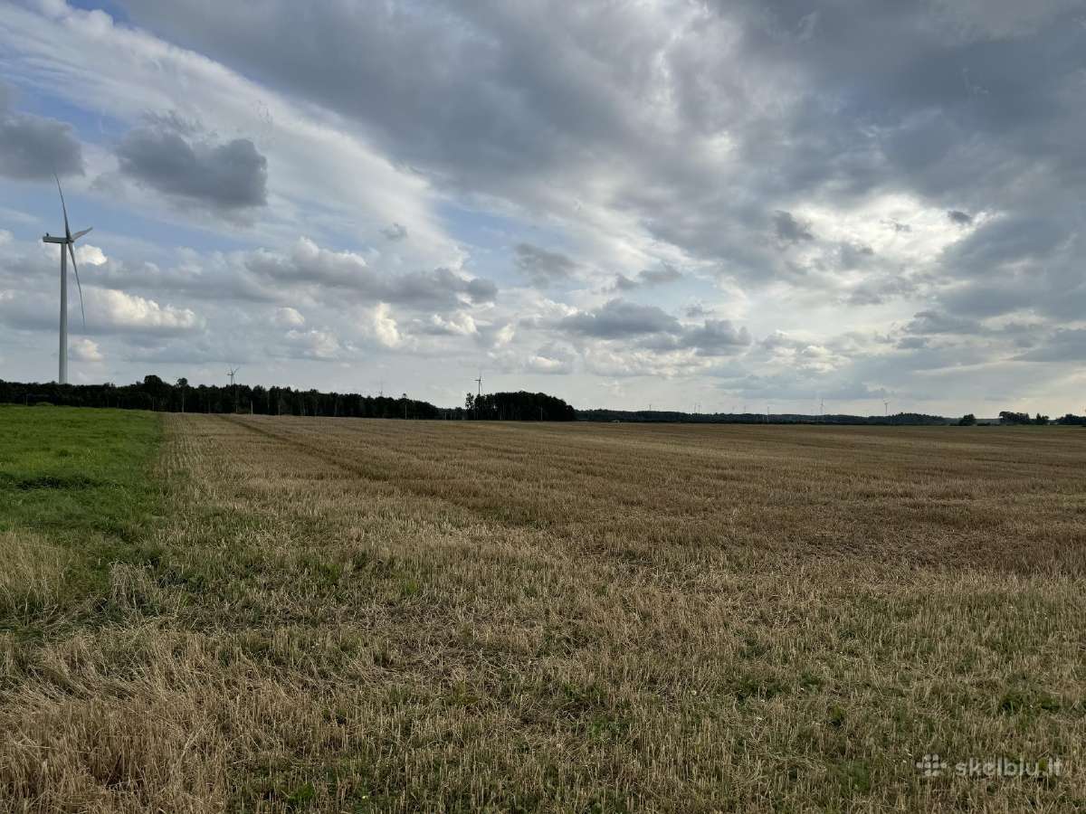 Ariamos žemes sklypas 12,37 ha ilgalaikei nuomai - nuotraukos Nr. 6