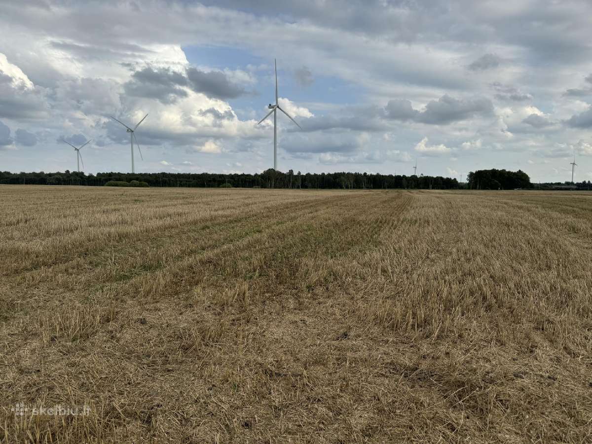 Ariamos žemes sklypas 12,37 ha ilgalaikei nuomai - nuotraukos Nr. 7