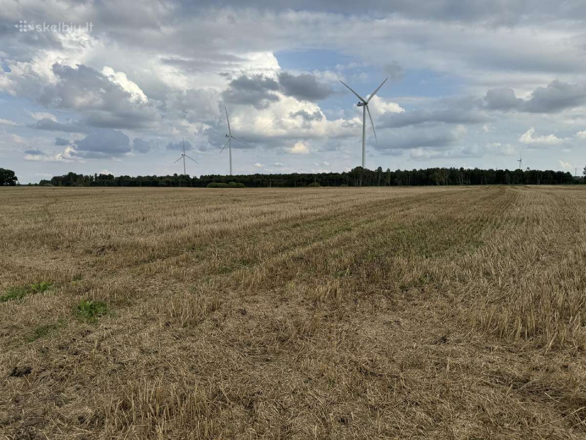 Ariamos žemes sklypas 12,37 ha ilgalaikei nuomai - nuotraukos Nr. 8