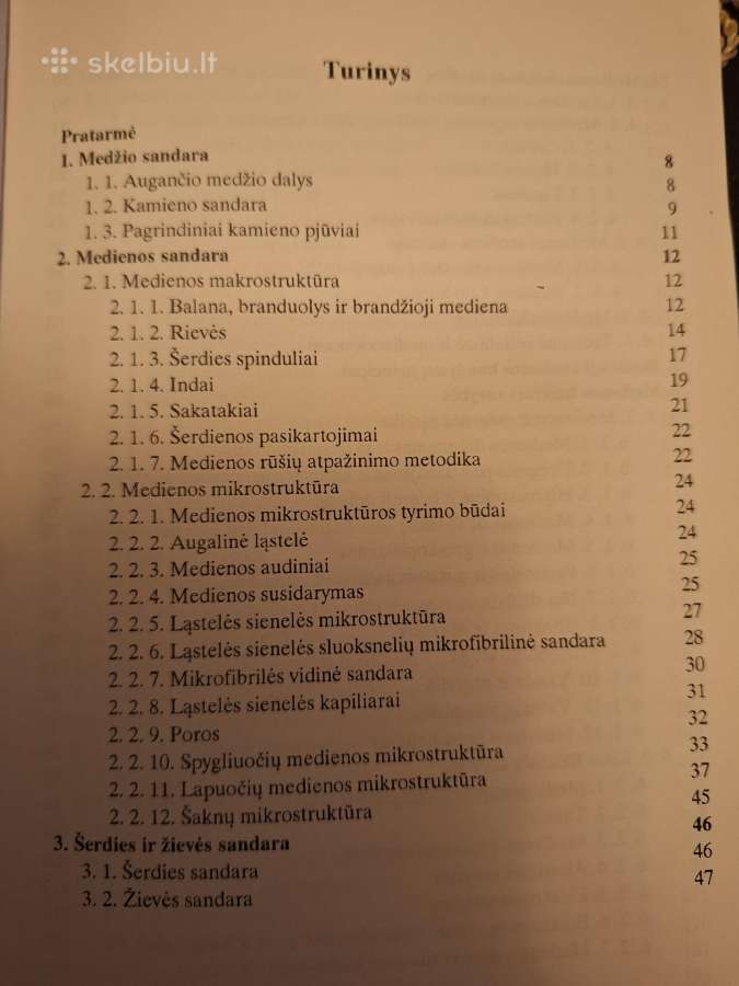 Medienotyra. 1998m. - nuotraukos Nr. 2