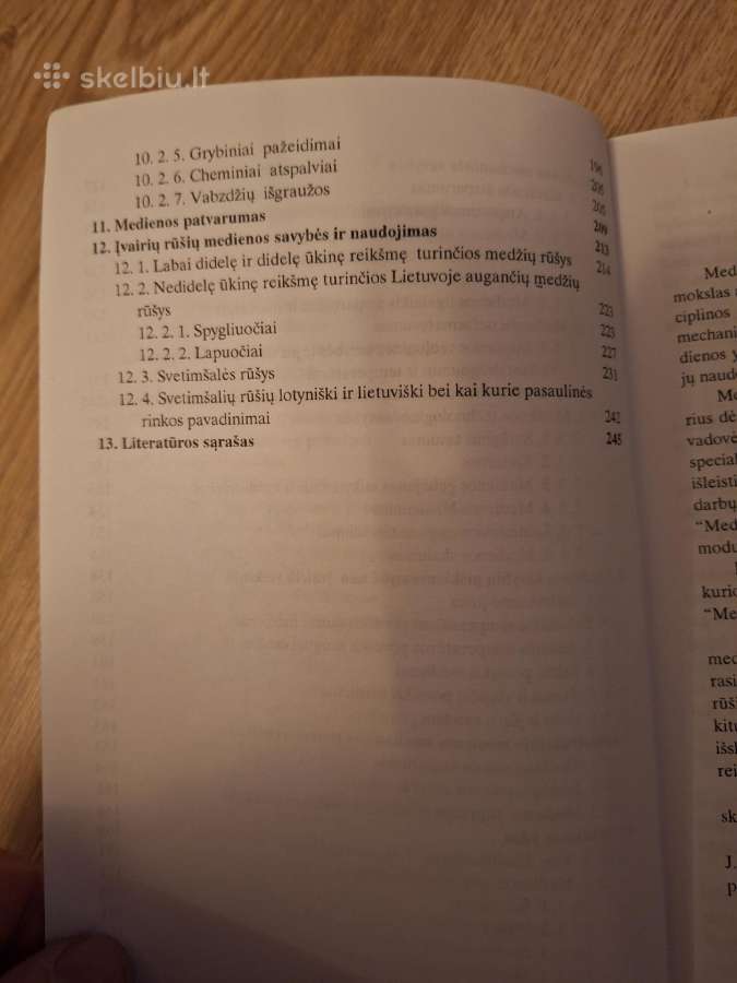Medienotyra. 1998m. - nuotraukos Nr. 5