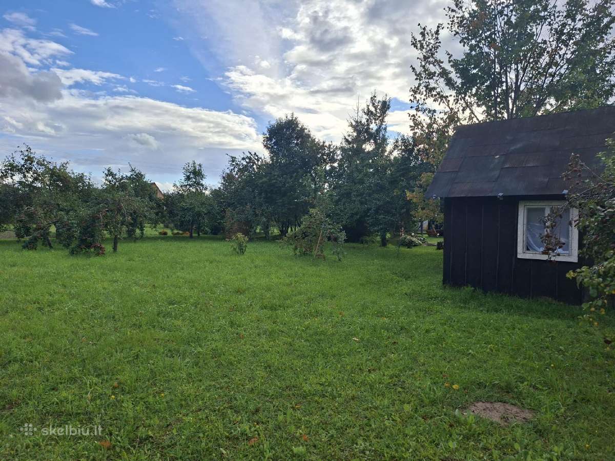 Parduodamas sodo sklypas - nuotraukos Nr. 7