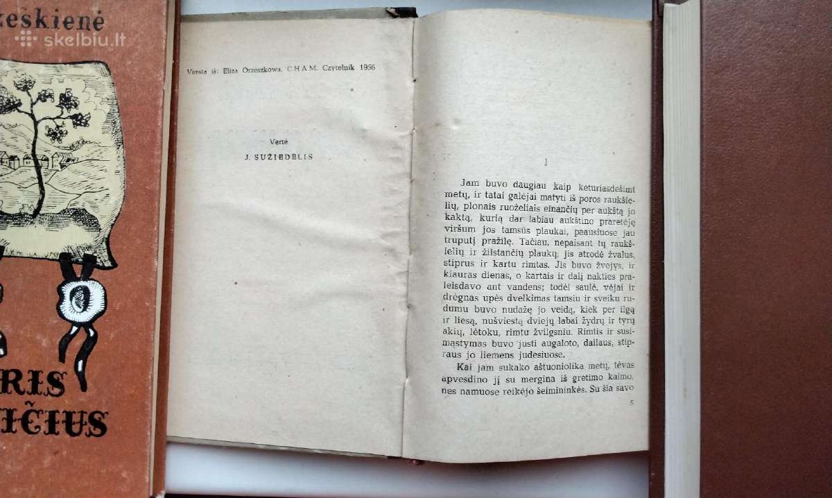 E. Ožeškienė. Mejeris Ezofovičius. Chamas - nuotraukos Nr. 14