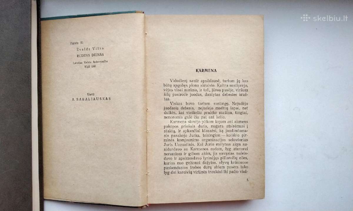 Kolumbo anūkai. Rudens dienomis - nuotraukos Nr. 14