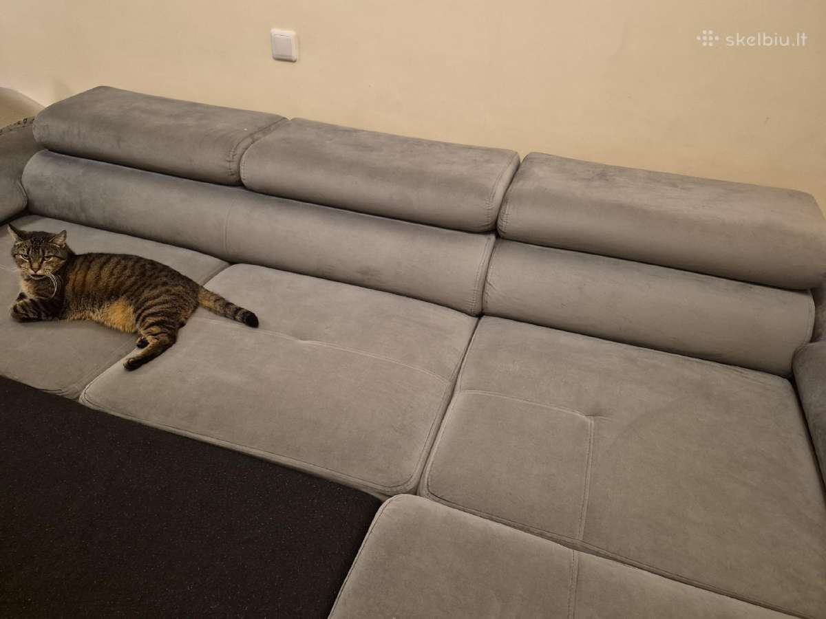 Dovanojama sofa lova. Rezervuota - nuotraukos Nr. 2