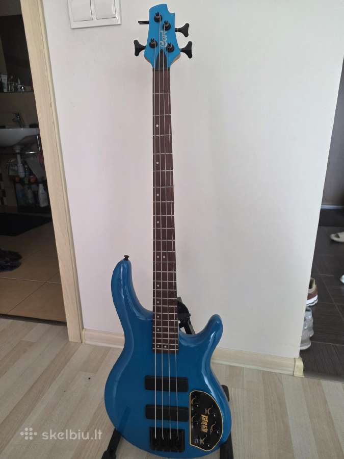 Parduosu arba keiciu gitara ir bosa - nuotraukos Nr. 4