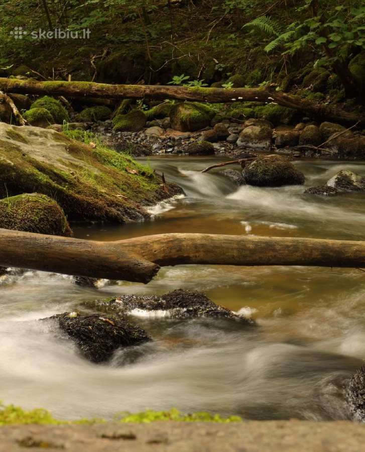 Canon Ef 24-105mm F/4 L ir 24-70mmf4 L Macro - nuotraukos Nr. 19