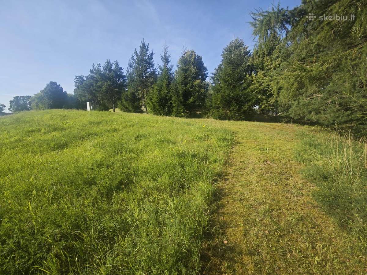 Rekreacinės paskirties žemės sklypas - nuotraukos Nr. 4