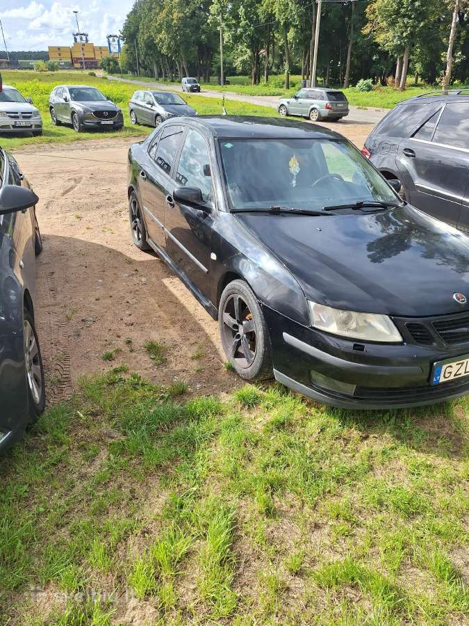 Vaziojantis auto - nuotraukos Nr. 9