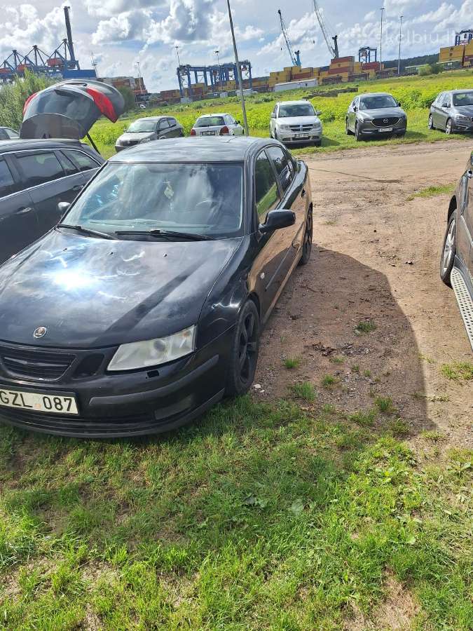 Vaziojantis auto - nuotraukos Nr. 12
