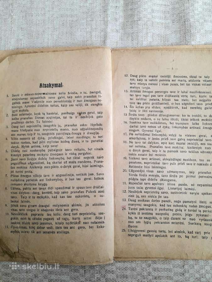 Pranašysčių knygelė 1924m - nuotraukos Nr. 3
