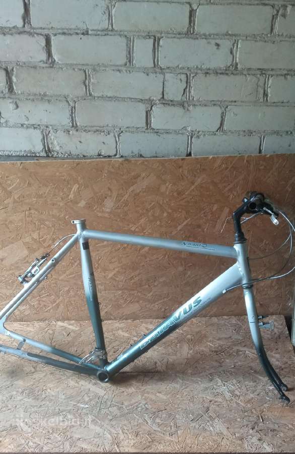 Remas batavus 56cm - nuotraukos Nr. 2