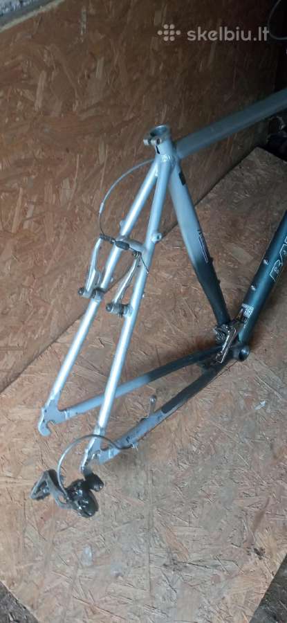 Remas batavus 56cm - nuotraukos Nr. 3