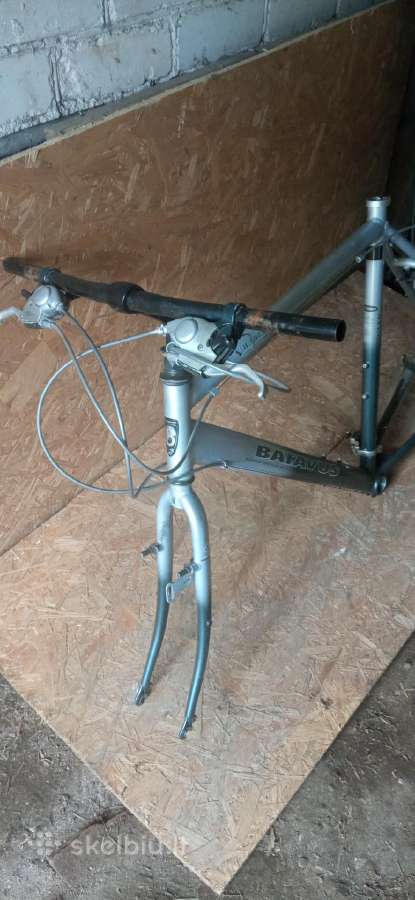 Remas batavus 56cm - nuotraukos Nr. 4