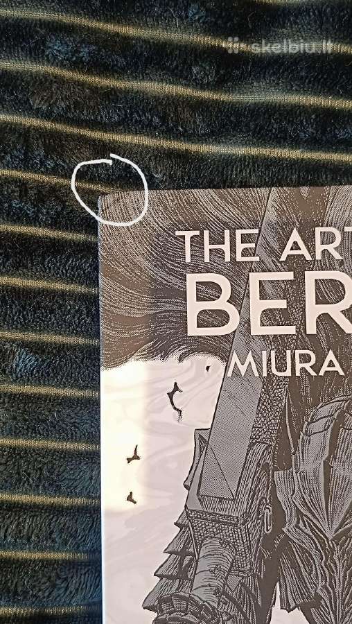 The artwork of berserk by Kentaro Miura - nuotraukos Nr. 6
