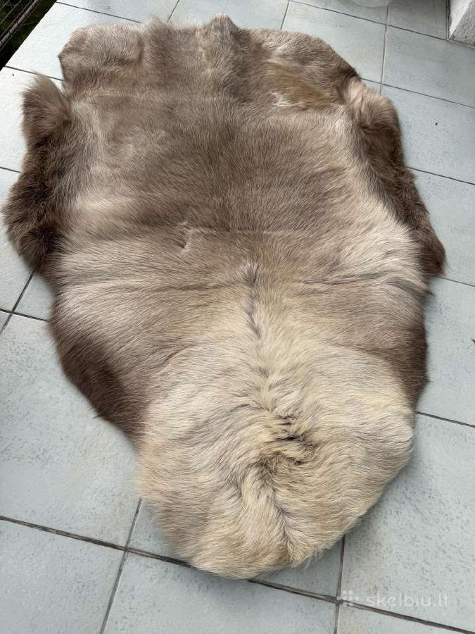 Elnio kailiai nemaži kaip kilimai ar kt. - nuotraukos Nr. 2