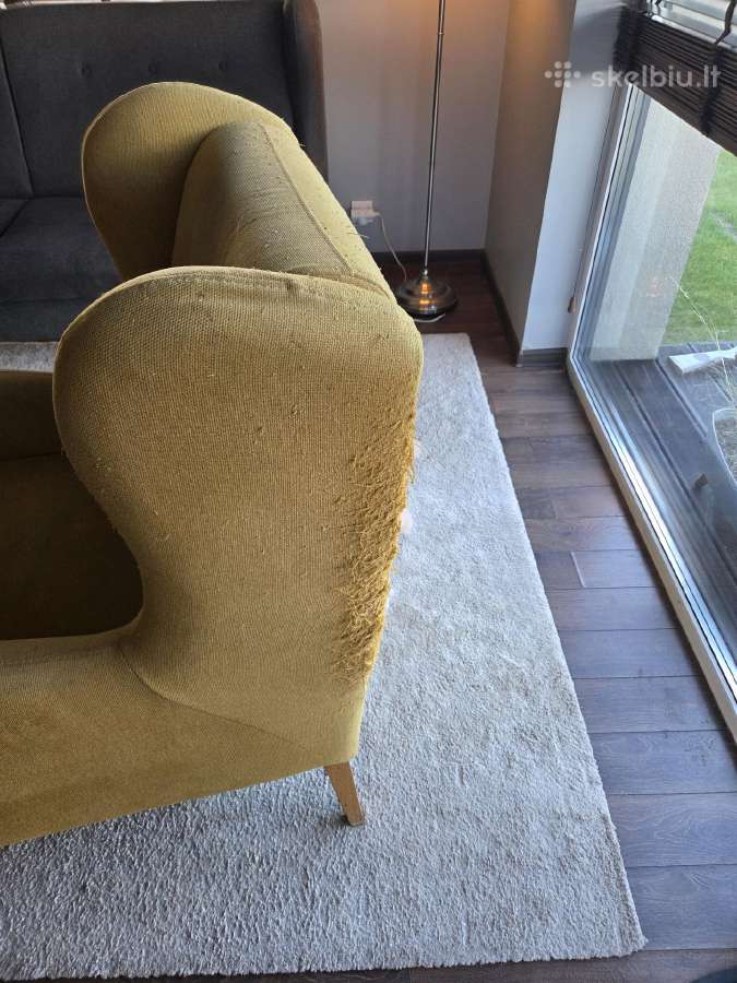 Sofa ir fotelis - nuotraukos Nr. 9