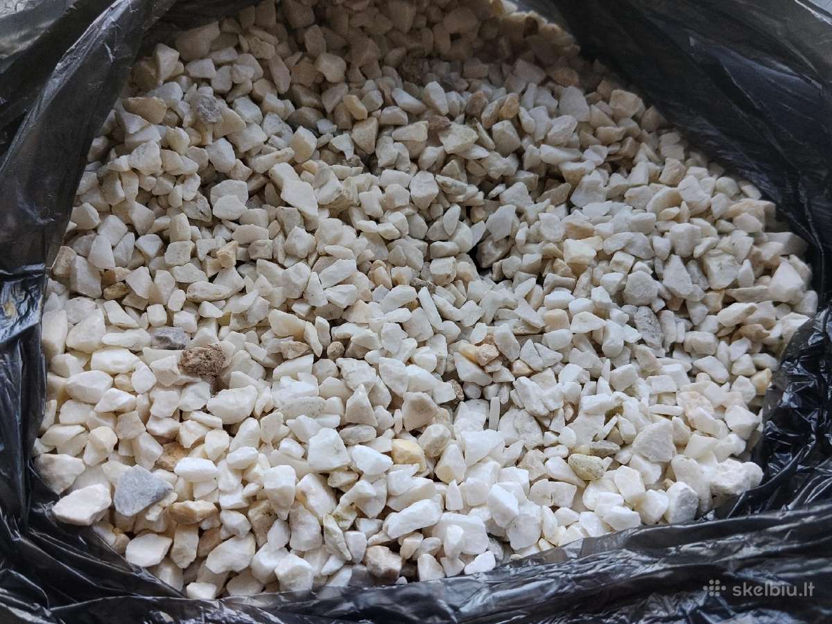 Akvariumas - nuotraukos Nr. 4