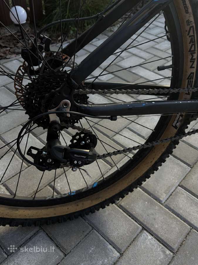 MTB Kalnu dviratis scool Xroc - nuotraukos Nr. 6