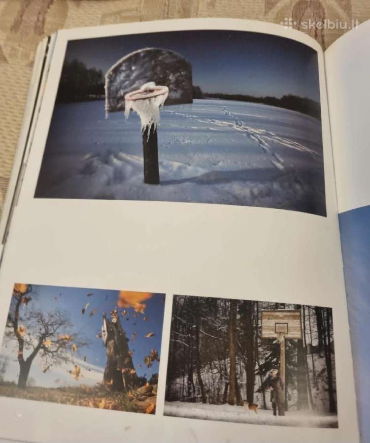 Lietuvos spaudos fotografija '11 - nuotraukos Nr. 11