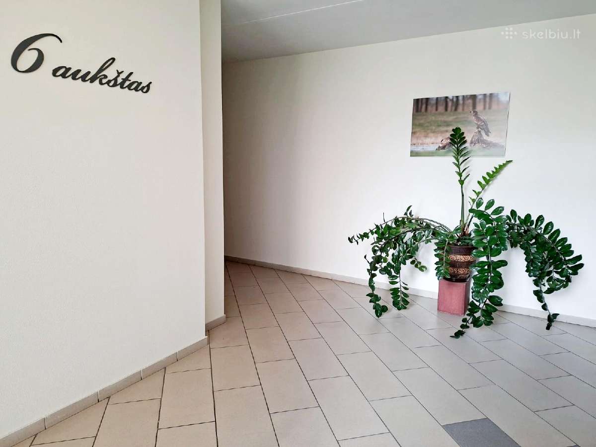 Naujos statybos name 2jų kamb. Pigus išlaikymas - nuotraukos Nr. 19