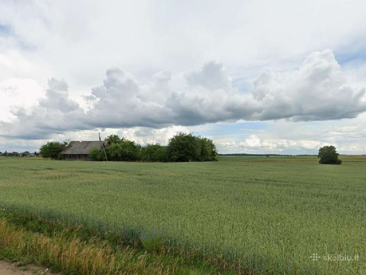 3 ha žemės sklypas su sodybviete šalia Ukmergės - nuotraukos Nr. 3