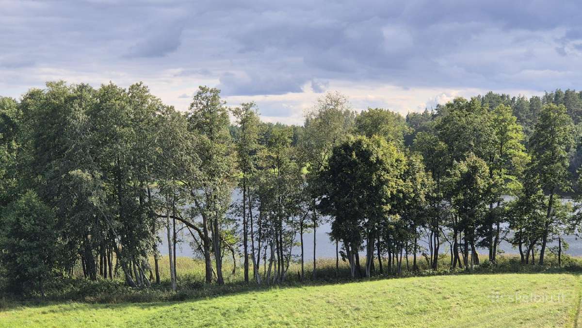 Sodyba ant kalvos su 58 m Lamėsto pakrante - nuotraukos Nr. 16