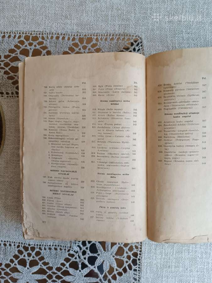 J.krikščiūnas Bitininkystė 1947m. - nuotraukos Nr. 11
