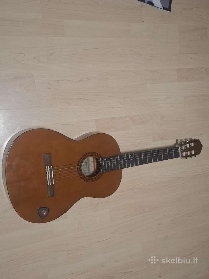 Gitara - nuotraukos Nr. 2