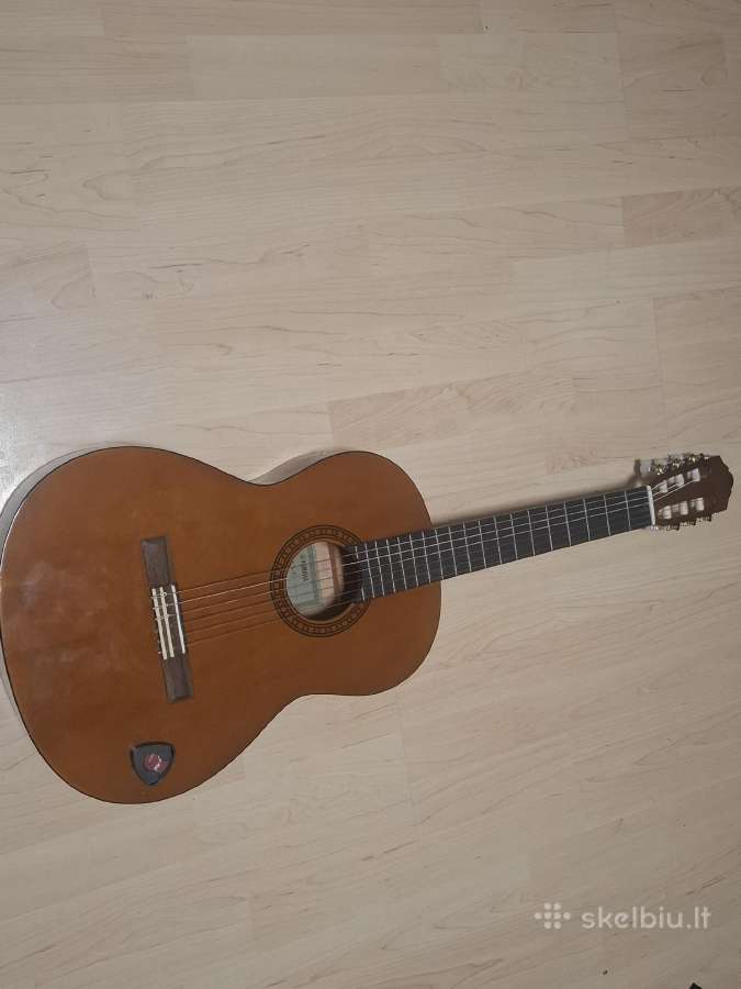 Gitara - nuotraukos Nr. 3