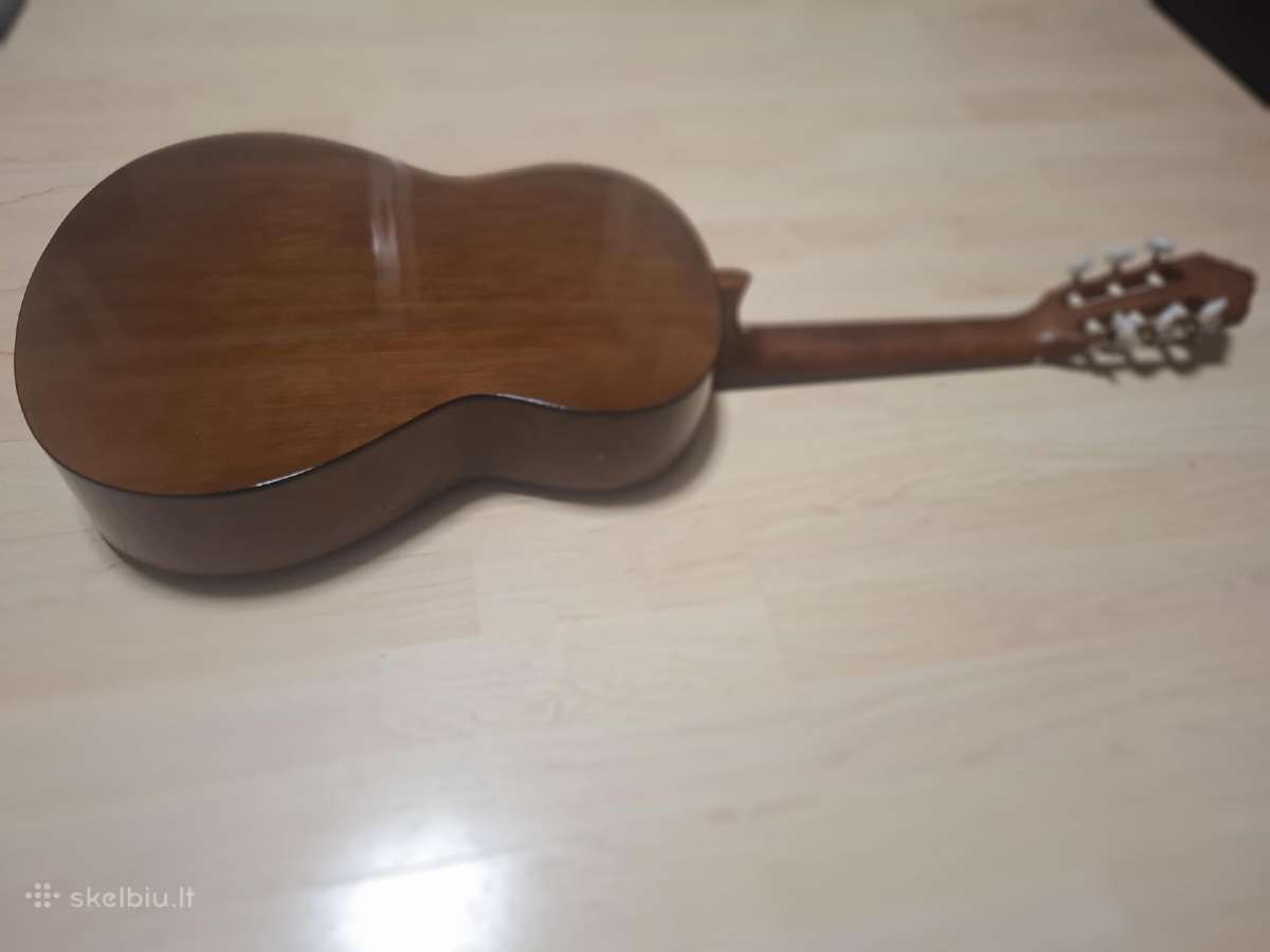 Gitara - nuotraukos Nr. 6