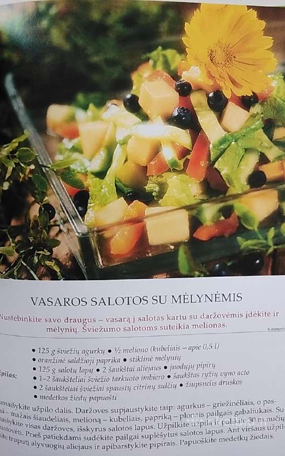 Salotos - nuotraukos Nr. 14