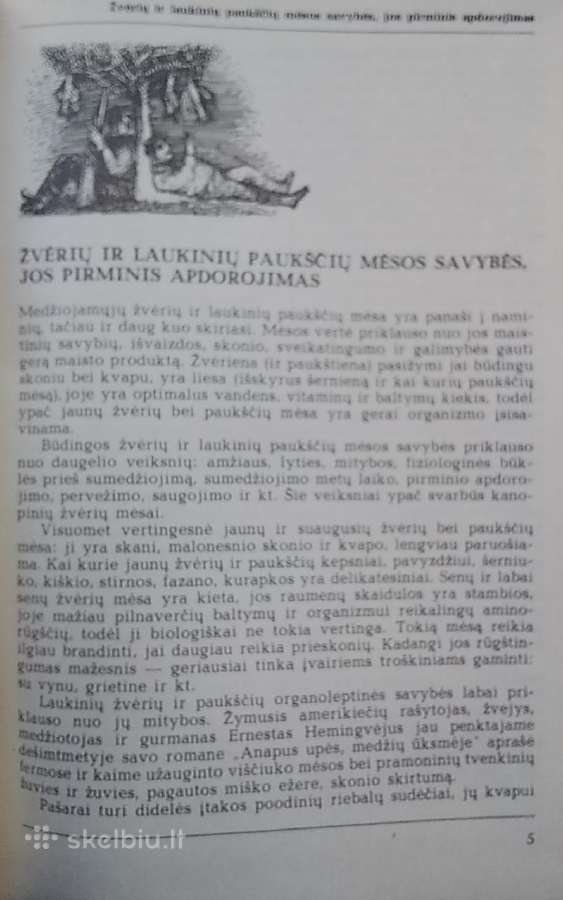 Medžiotojo vaišės - nuotraukos Nr. 3