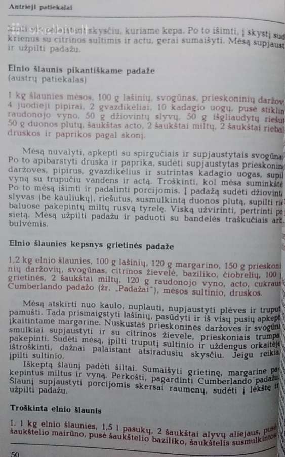 Medžiotojo vaišės - nuotraukos Nr. 13