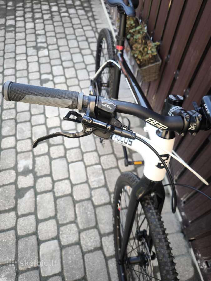 29 Focus L - nuotraukos Nr. 3