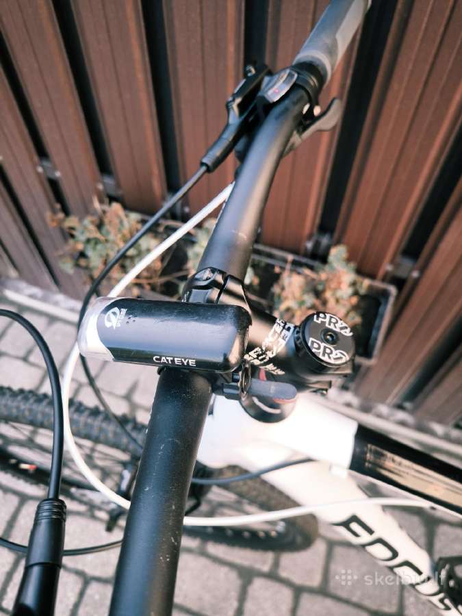 Focus 29 - Rigid šakė - nuotraukos Nr. 7