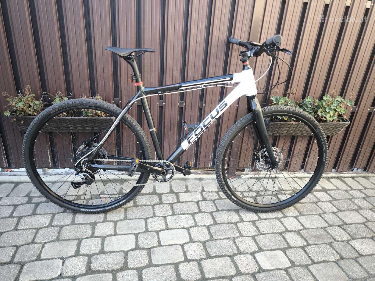 Focus 29er L - nuotraukos Nr. 2