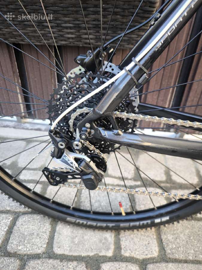 Focus 29 - Rigid šakė - nuotraukos Nr. 9