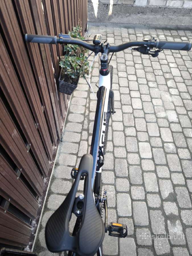 Focus 29er L - nuotraukos Nr. 11