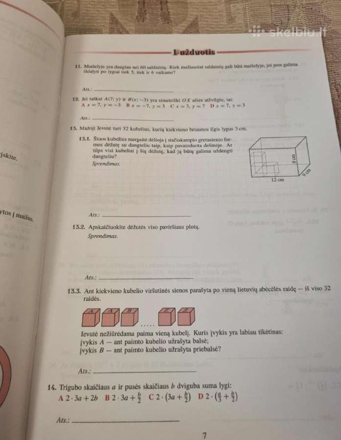 Nacionalinis mokinių pasiekimų patikrinimas 8 kl - nuotraukos Nr. 3