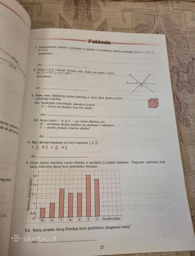Nacionalinis mokinių pasiekimų patikrinimas 8 kl - nuotraukos Nr. 4