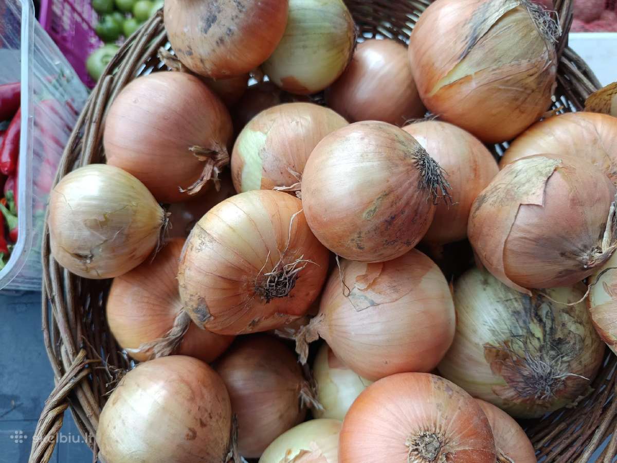 Kaimiškos bulvės ir kitos darzoves - nuotraukos Nr. 18