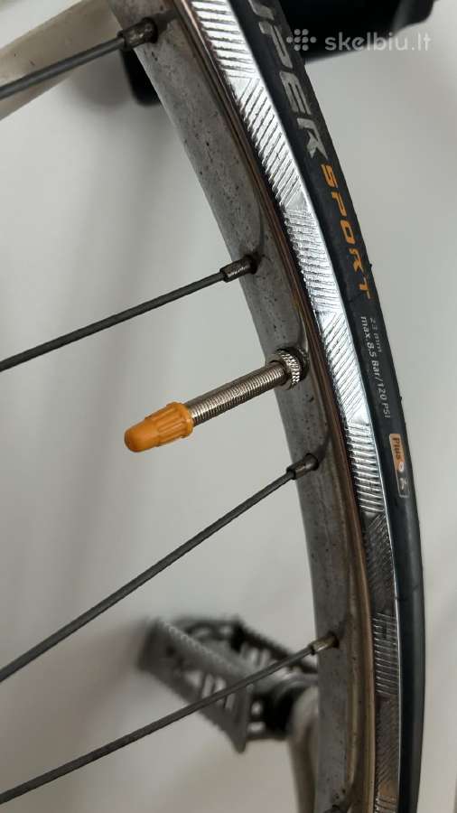 1984 Raleigh Panasonic team colors - nuotraukos Nr. 13