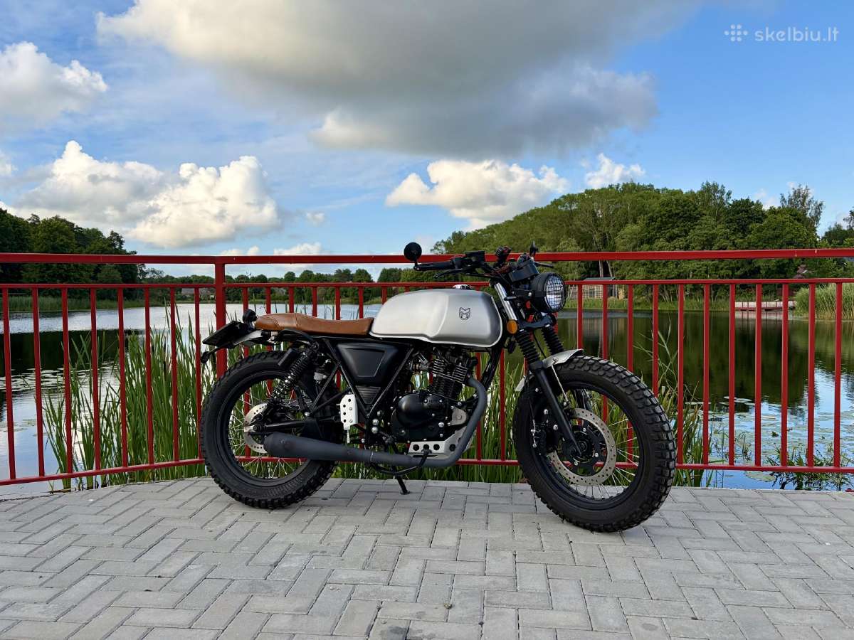 Mutt Akita - nuotraukos Nr. 4