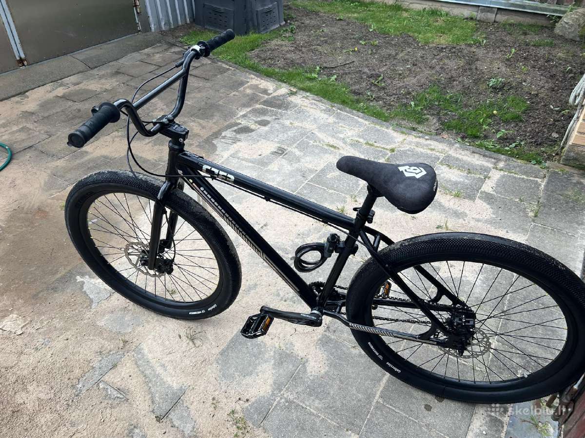 Collective C2 Cruiser - nuotraukos Nr. 2