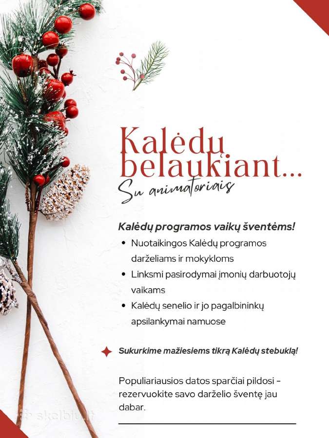 Animatoriai / Kalėdų Senelis/ Kalėdinė programa - nuotraukos Nr. 6